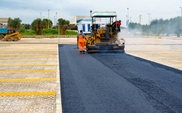 Best Driveway Pavers Near Me  in Carrizo Springs, TX