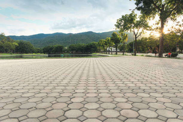 Best Commercial Driveway Pavers  in Carrizo Springs, TX