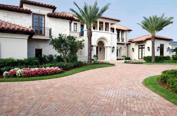 Best Local Driveway Pavers  in Carrizo Springs, TX