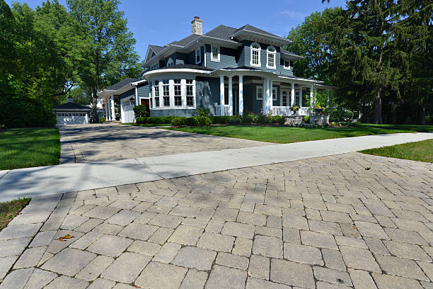 Best Best Driveway Pavers  in Carrizo Springs, TX