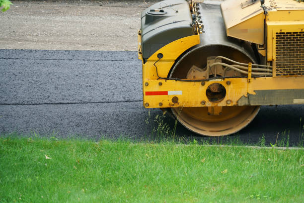 Professional Driveway Pavers in Carrizo Springs, TX